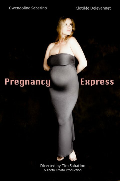 Pregnancy Express (2014)