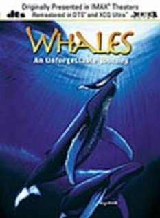 Whales: An Unforgettable Journey (1997)