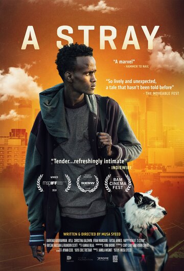 A Stray (2016)